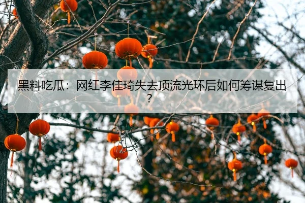 hei-liao-chi-gua-wang-hong-li-jia-qi-shi-qu-ding-liu-guang-huan-hou-ru-he-chou-mou-fu-chu-2-324.jpg