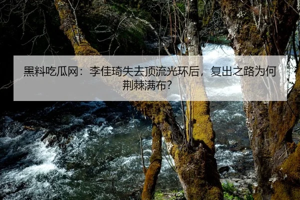 hei-liao-chi-gua-wang-li-jia-qi-shi-qu-ding-liu-guang-huan-hou-fu-chu-zhi-lu-wei-he-jing-ji-man-bu-2-942.jpg